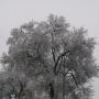 David Jolly Photo 5