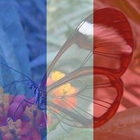 Suzanne Doyle Photo 46