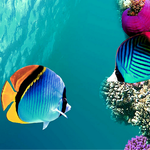 Patricia Healy Photo 12