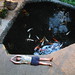 David Koi Photo 7