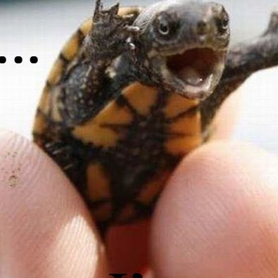 Devin Carter Photo 21