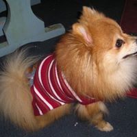 Suzanne Justis Photo 2