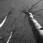 Anne Beyer Photo 18