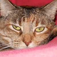 Vicki Chavez Photo 9