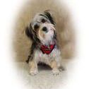 Dianne Frederick Photo 4