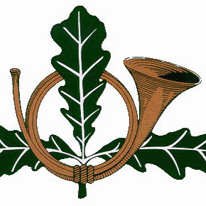 David Doucet Photo 29