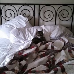 Susan Gamble Photo 25