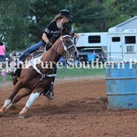 Cindy Palmer Photo 6