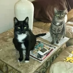Lisa Hames Photo 3