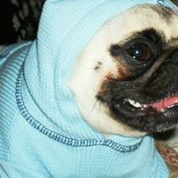 Michelle Leitch Photo 12