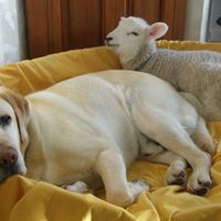 Sandra Hewitt Photo 22 Sandra Hewitt Photo 22