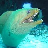 Michael Behrens Photo 29 Michael Behrens Photo 29