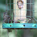 Debra Call Photo 21