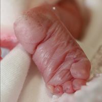 Sarah Daugherty Photo 34 Sarah Daugherty Photo 34