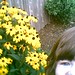 Amy Flowers Photo 37