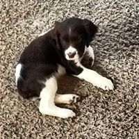 Michael Waltz Photo 10