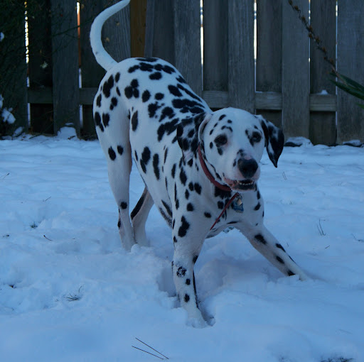 Jennifer Poindexter Photo 17