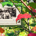 Joseph Bench Photo 5