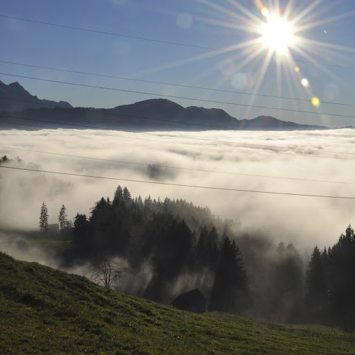 Peter Hauser Photo 21