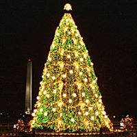 Cindy Qualls Photo 16