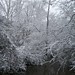 Jonathan Ledbetter Photo 10
