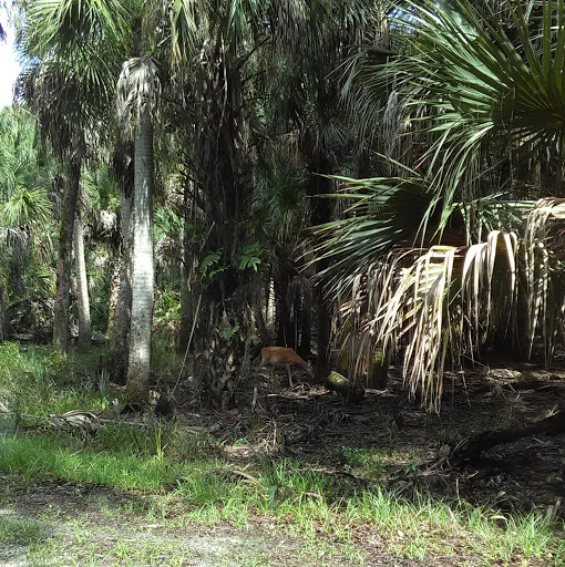 Timothy Baldwin Photo 40