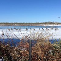 Willie Small Photo 12