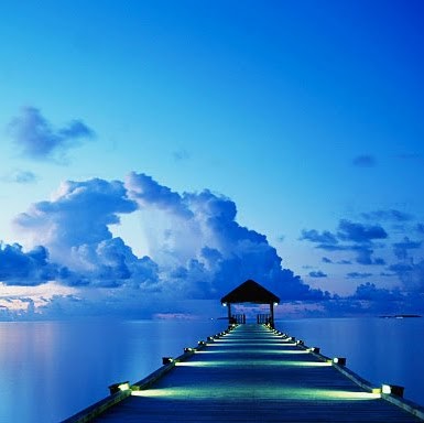 Roderick Jenkins Photo 10