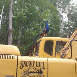 Randy Snow Photo 42