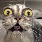 Jonathan Colbert Photo 15