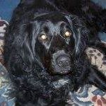 Nancy Sweitzer Photo 10