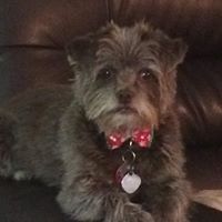 Pamela Benson Photo 28