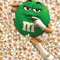 Stacy Moseley Photo 16