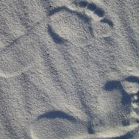 Michelle Lowry Photo 29