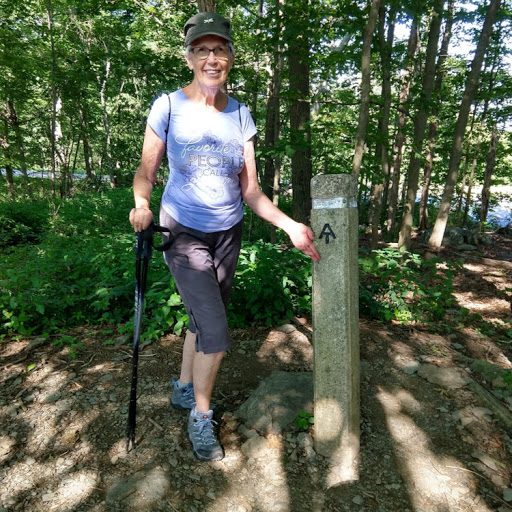 Jan Collins Photo 35