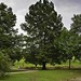 Judy Lowe Photo 17