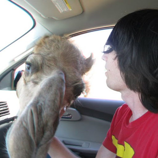 Michael Roe Photo 49