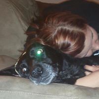 Paula Robbins Photo 6