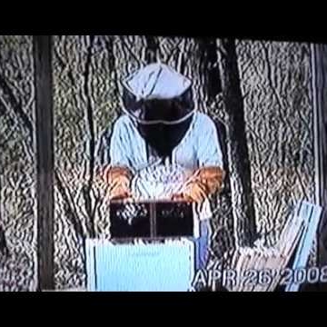 Melissa Mohr Photo 30