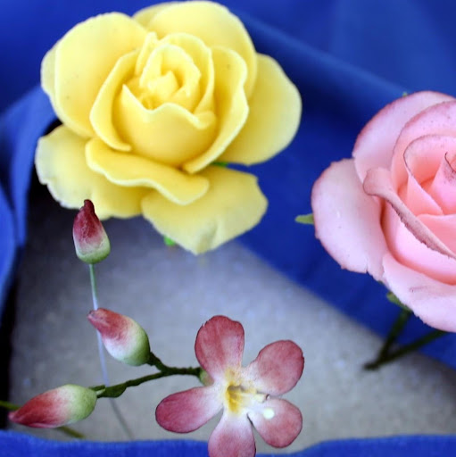 Bennett Paul Photo 16 Bennett Paul Photo 16