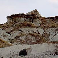 Margaret Schaeffer Photo 13