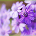 April Bright Photo 35