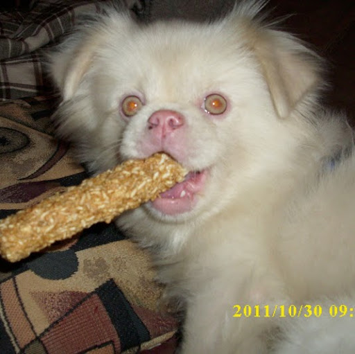 Patricia Mcmurray Photo 6