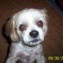 Bob Cornelius Photo 5