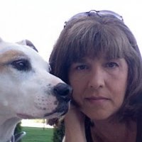Tracy Doyle Photo 8