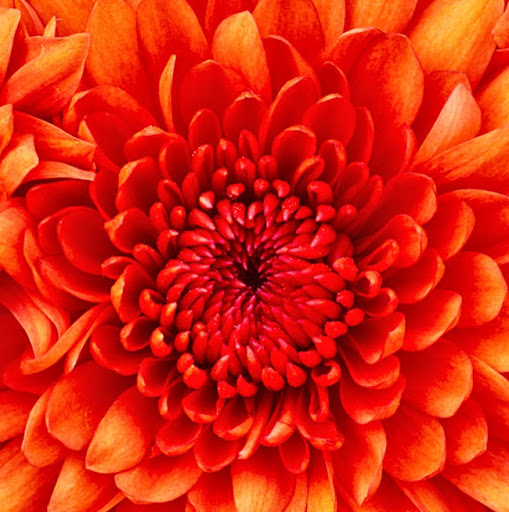 Julia Gannon Photo 7