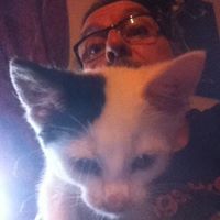 Tom Stevens Photo 27