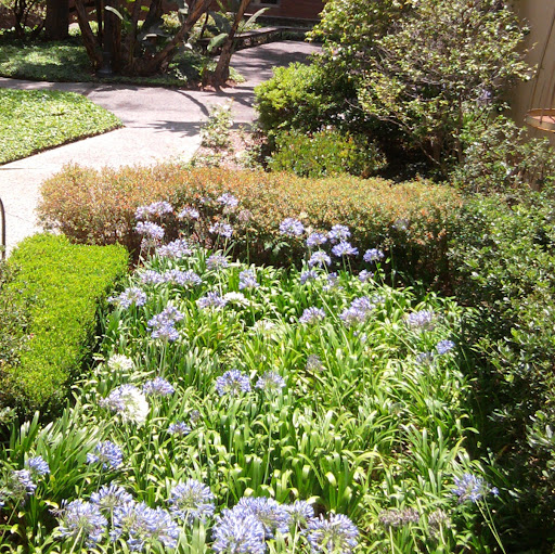 Helen Terry Photo 17