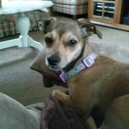 Rebecca Holton Photo 6