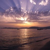 Sherry Gruber Photo 13